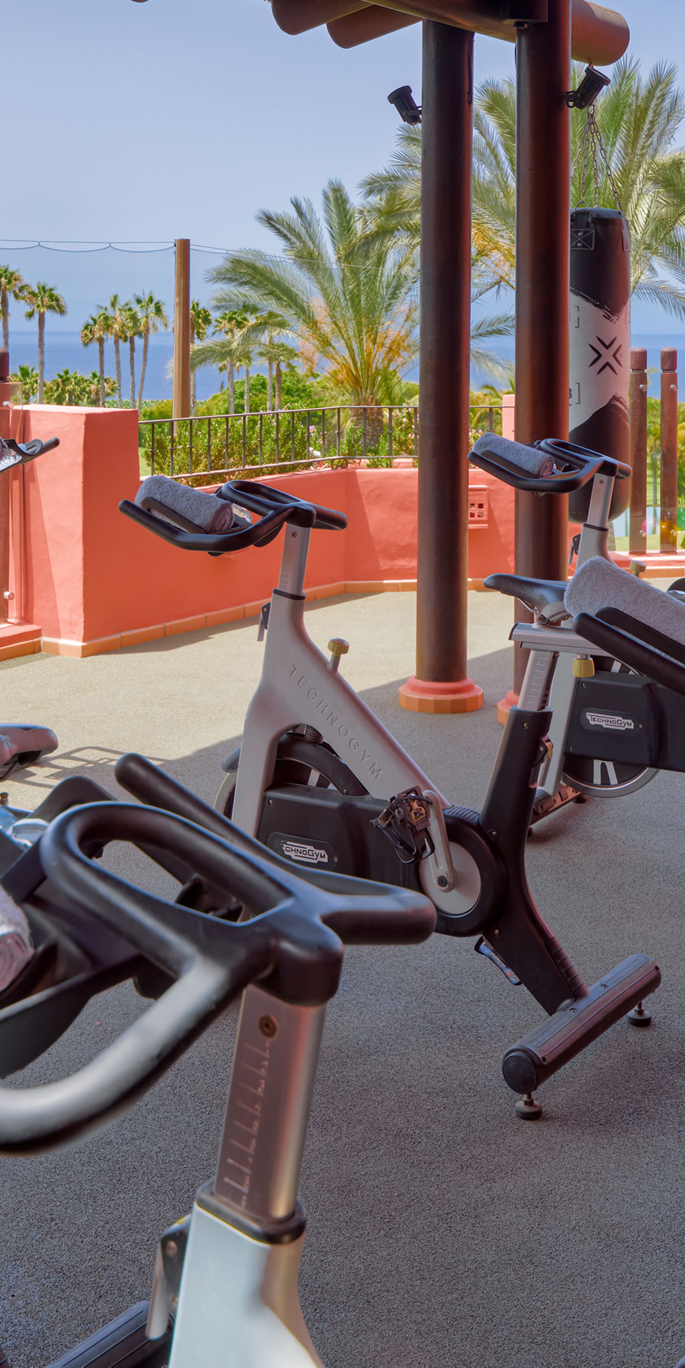 Technogym Bike: Riding Through Rome From My Spare Room