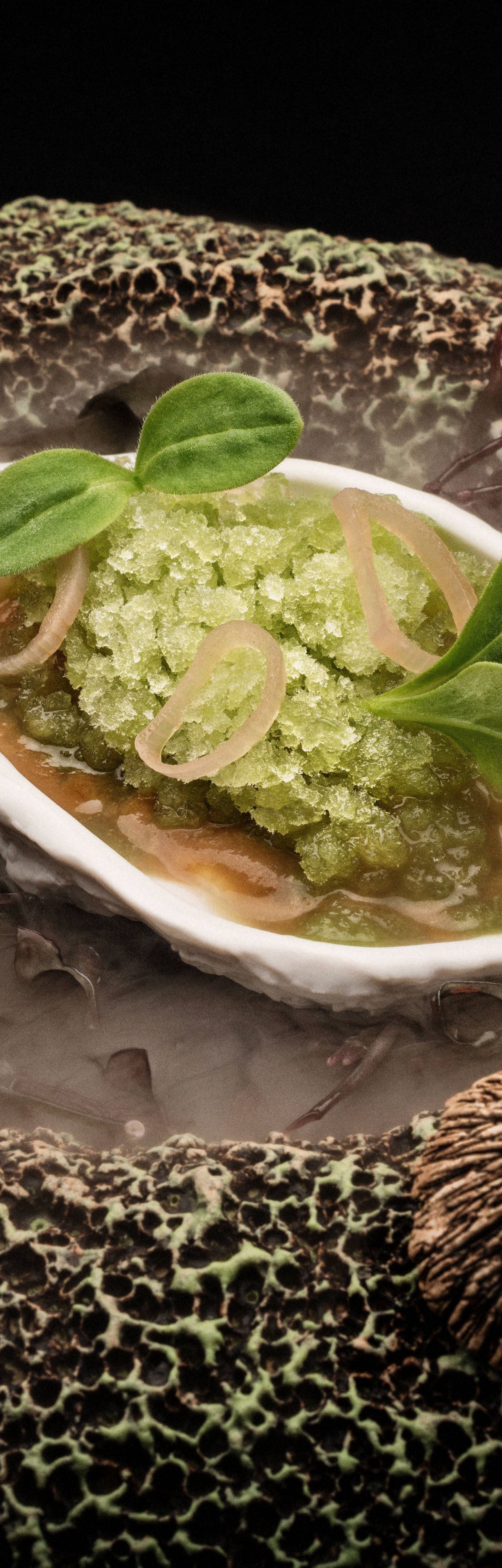 Oyster