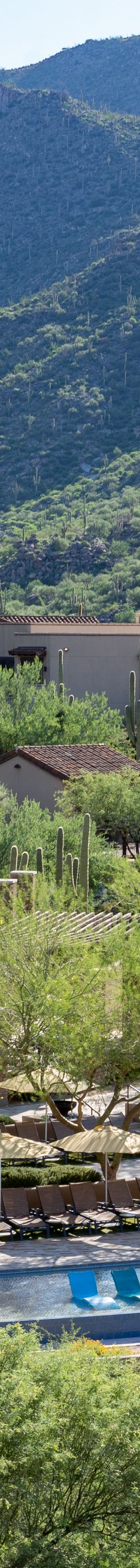 Dove Mountain Pool 11031