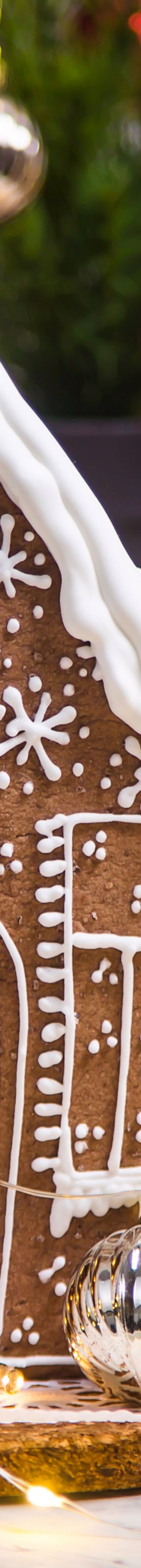 Gingerbread House 19976