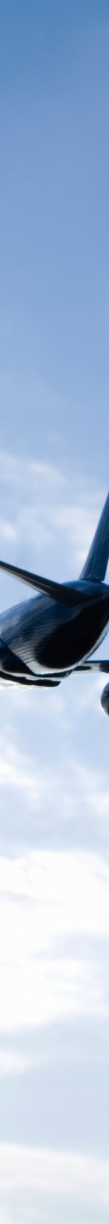 Man in Airport with Suitcase