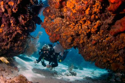 A person scuba dives through a rock formation