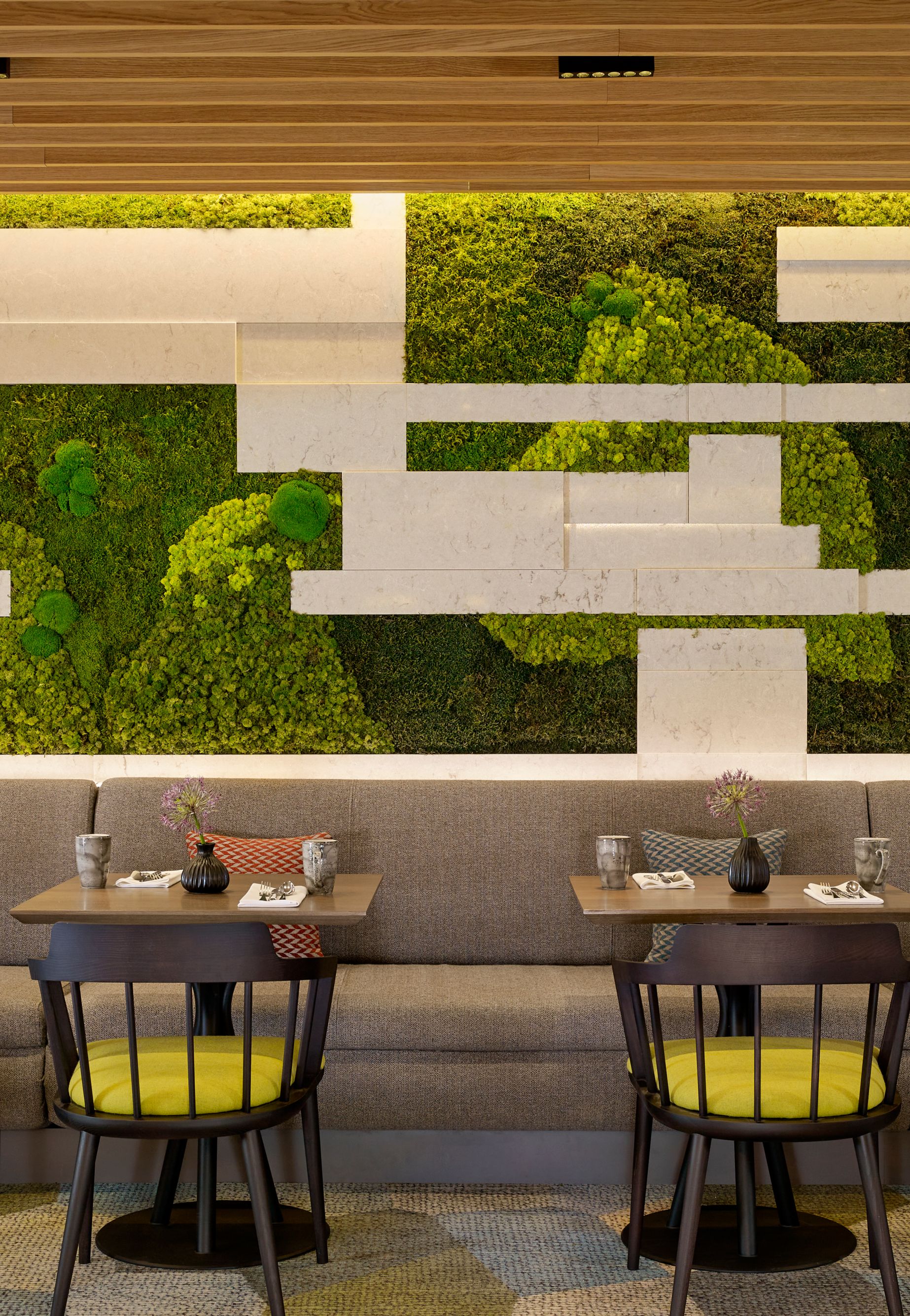 Sheraton Club 1-40420