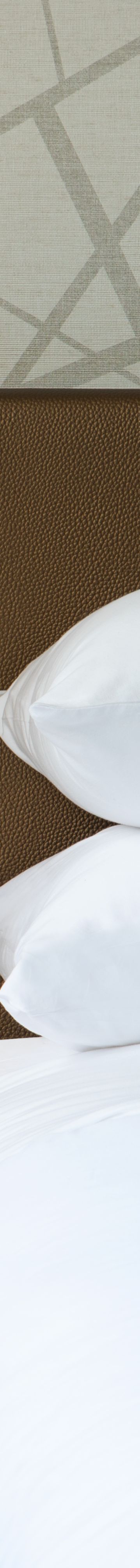 Room Detail Photo 80329