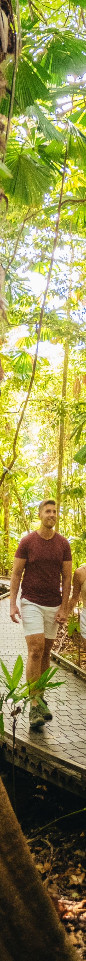 Experience the Daintree