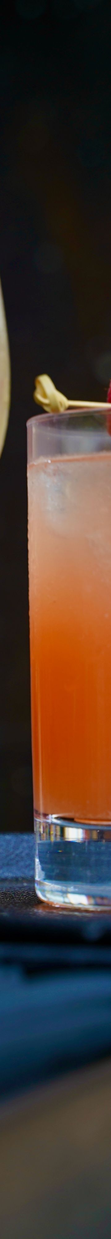 Herb 'N Jungle 22627