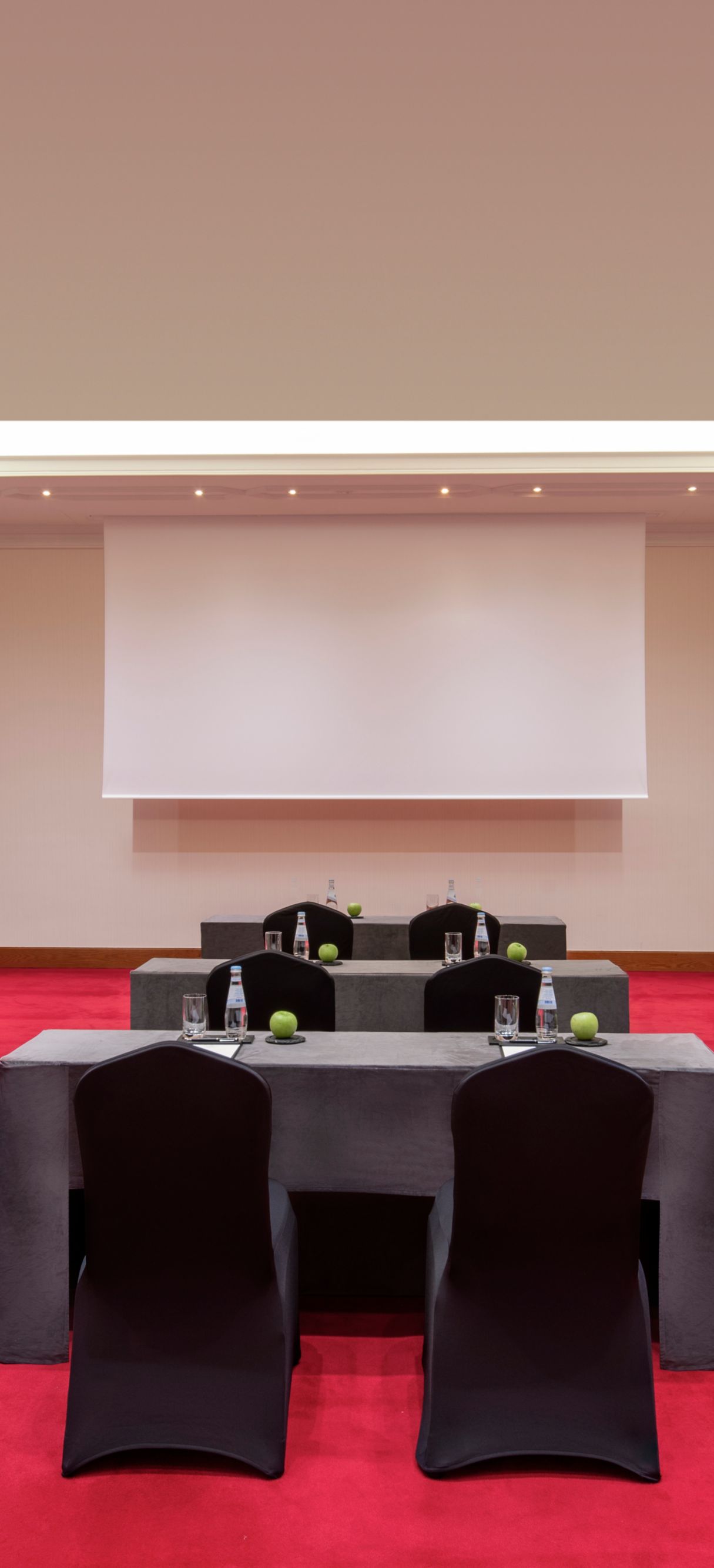 Al Bashir Conference Room