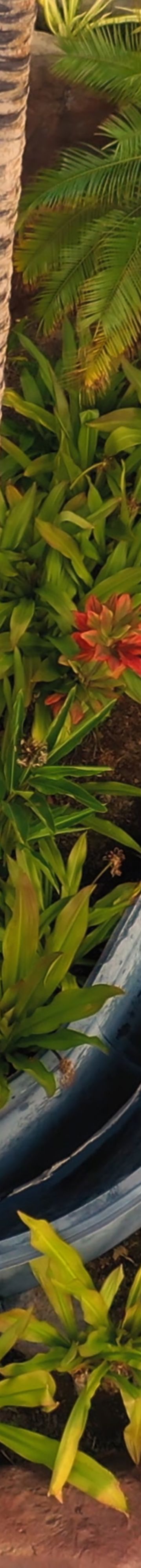 Helumoa Waterslide 38547