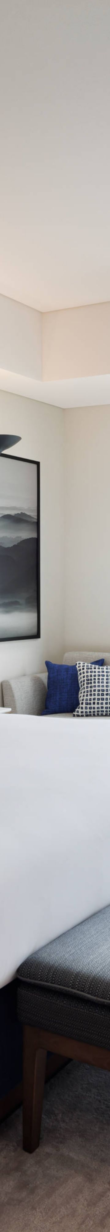 Sakurajima King 35725