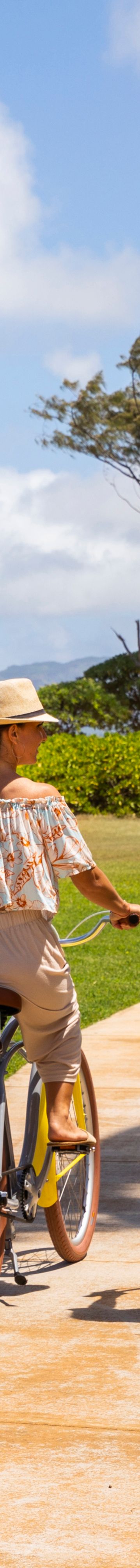 cruiser-bicycles-12499