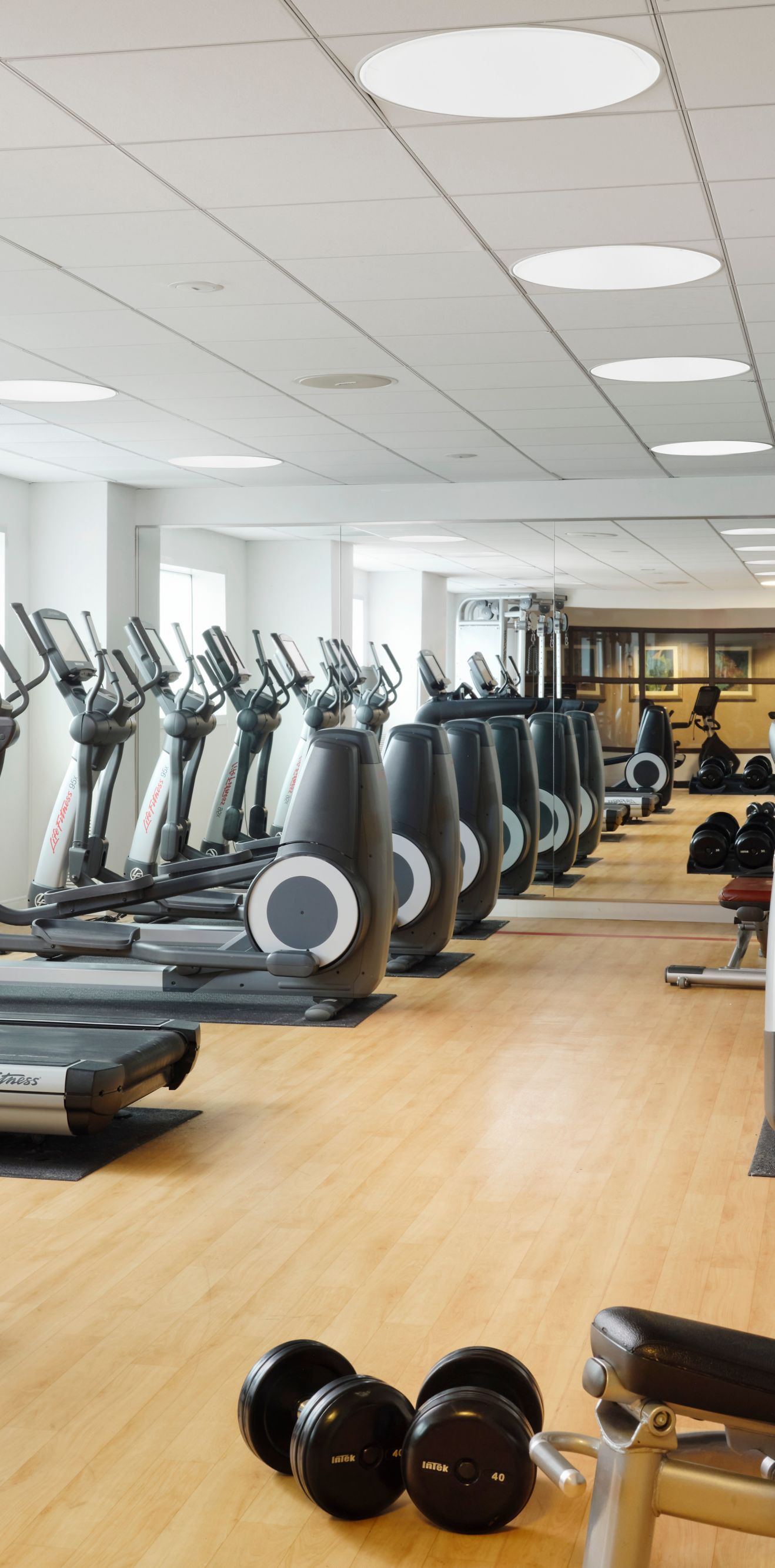 Are Dogs Allowed At Sheraton Myrtle Beach Hotel