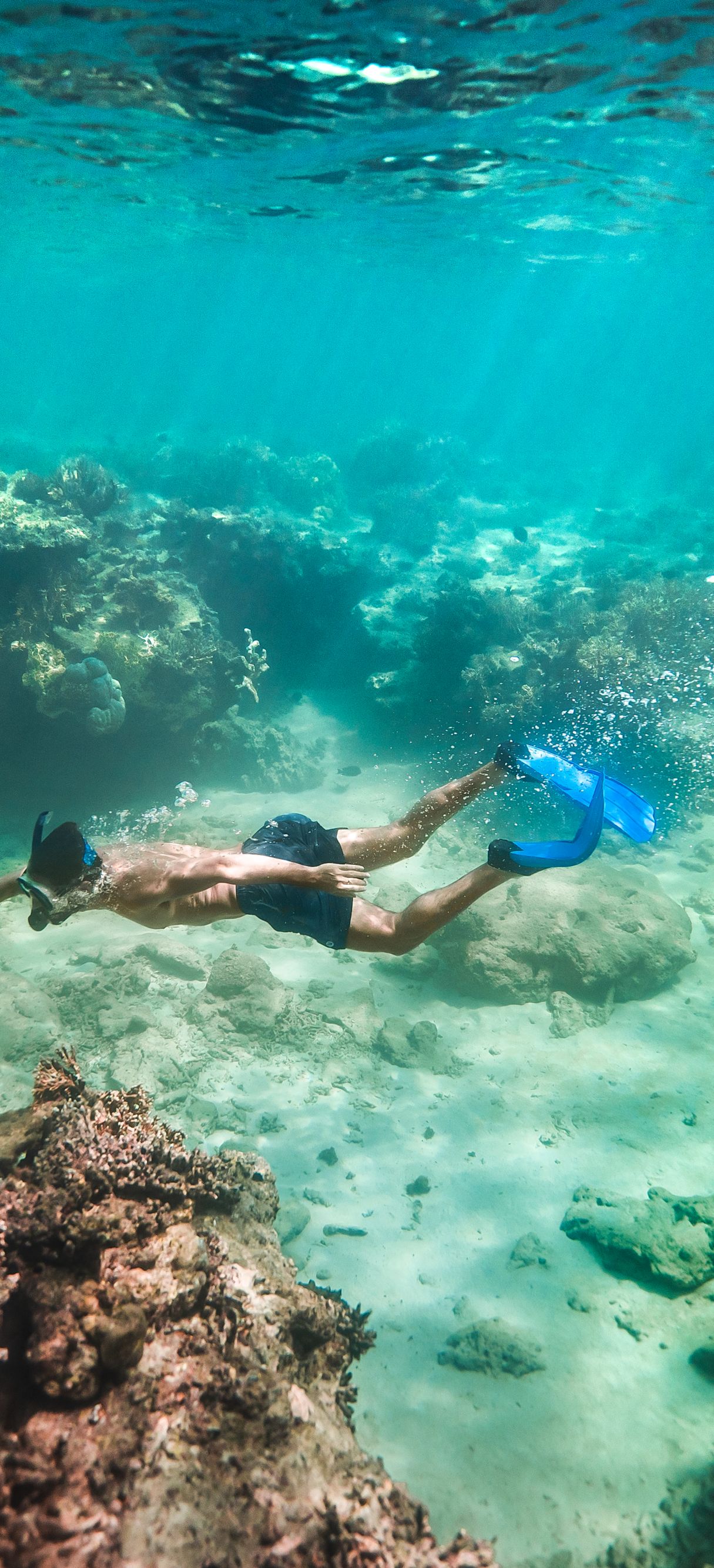 Snorkeling 