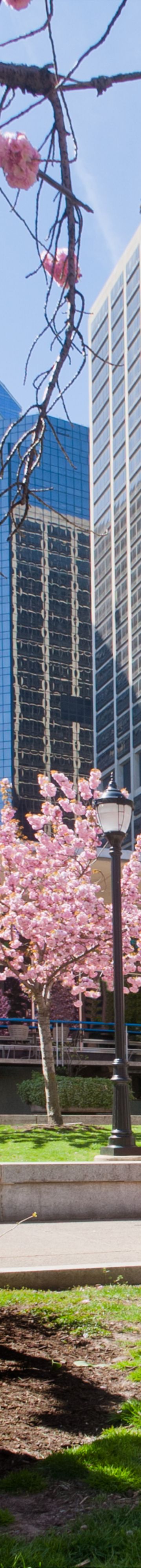 Fairmount Park 32380