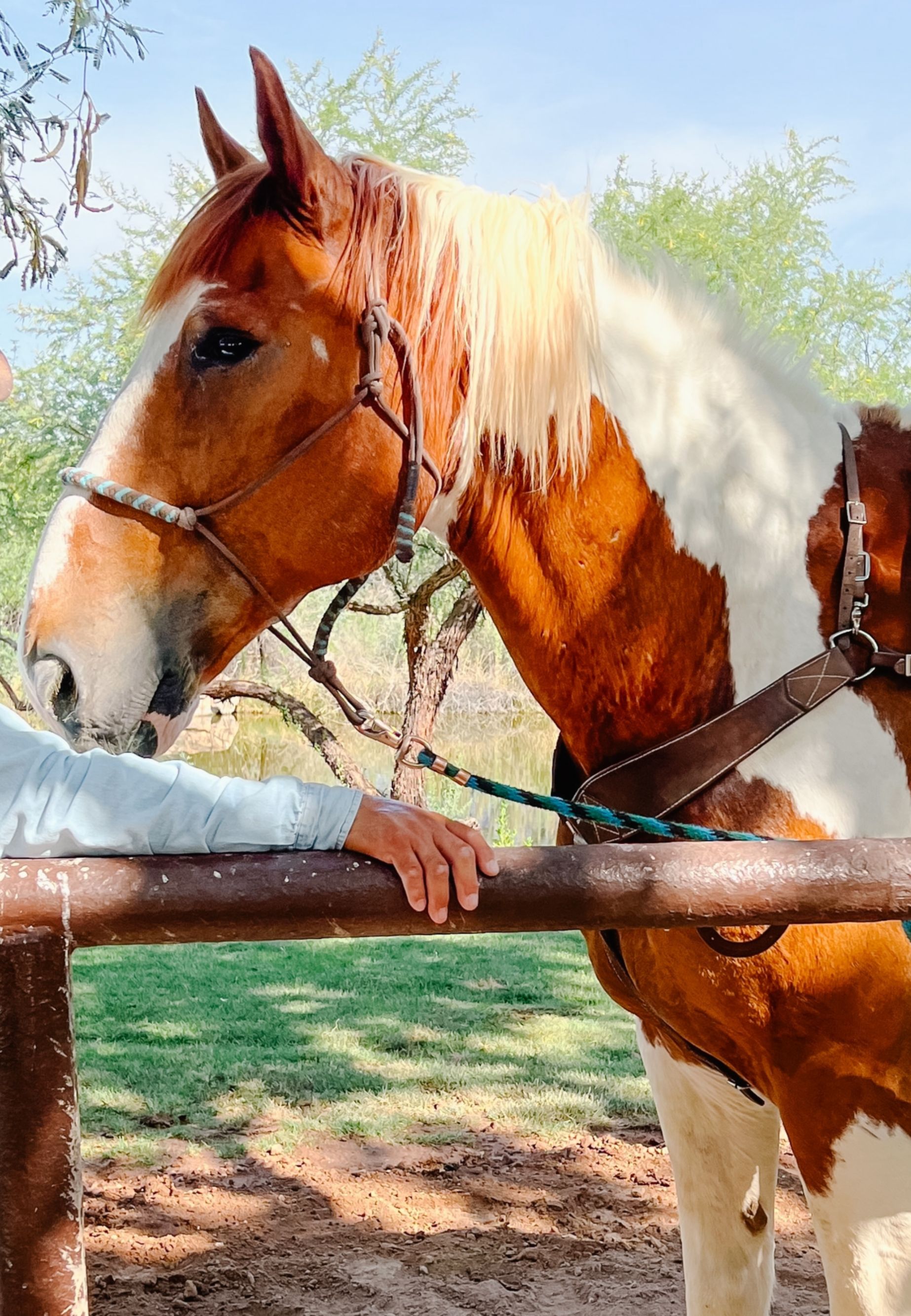 The Wild Horse Pass Hotel - Gila River Indian Community