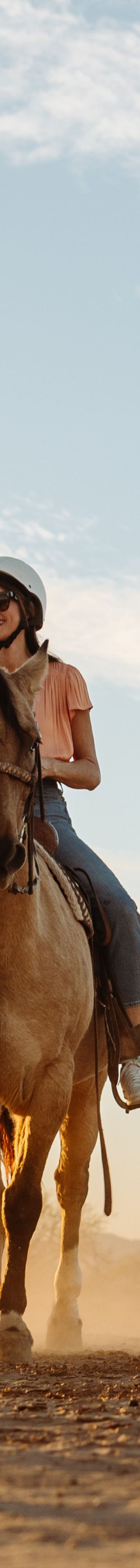 horseback-riding-27224