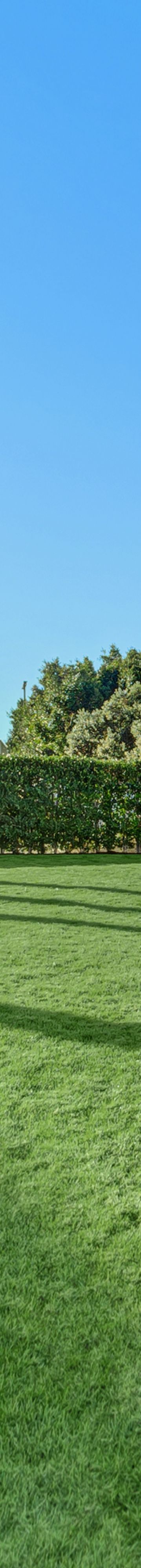 Harbor Vista Lawn 11717