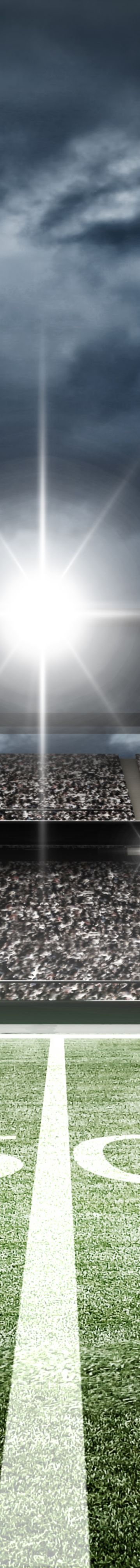 Football Stadium 18453
