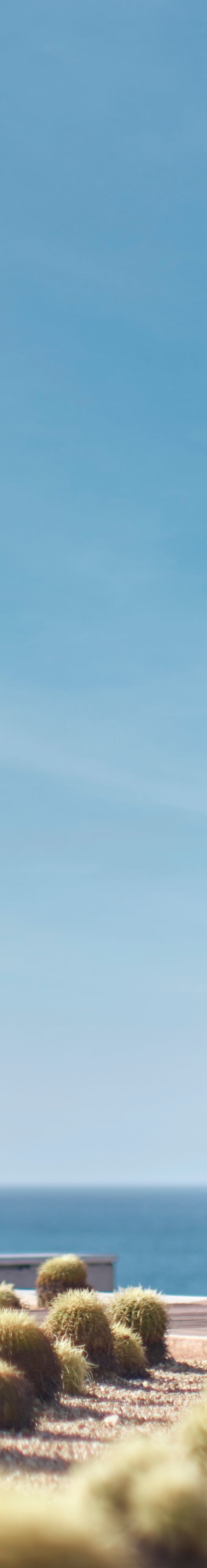 Woman standing on terrace balcony facing ocean. 