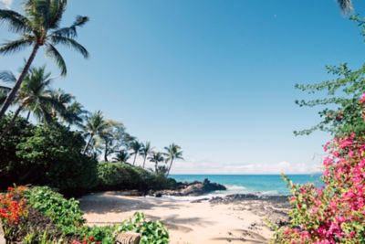 View of the beach surrounded with greenery and palm trees