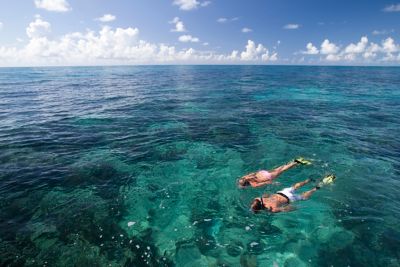 Two people snorkeling in the ocean