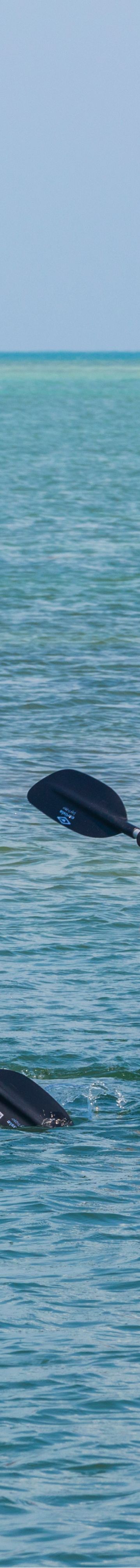 kayaking-florida-keys