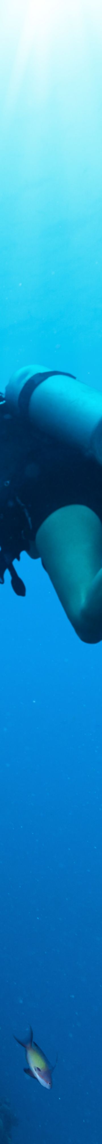 Scuba Diving Islamorada