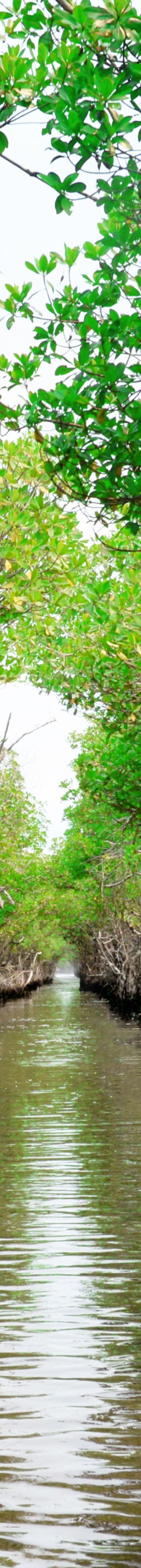 Watersports in Islamorada