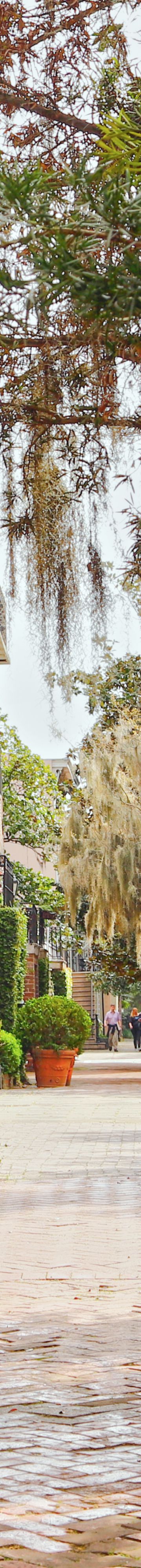 Lush Cobblestone St 33556