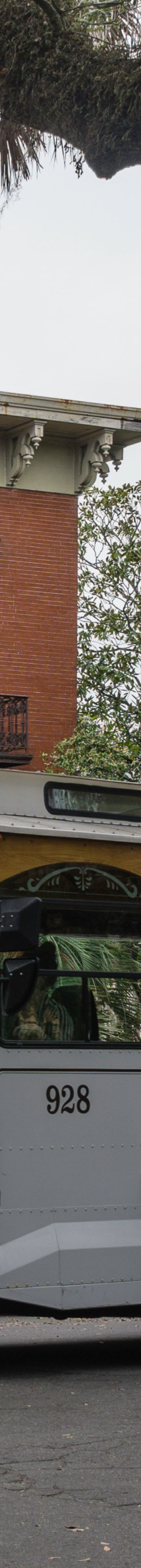 Old Savannah Tours 39222