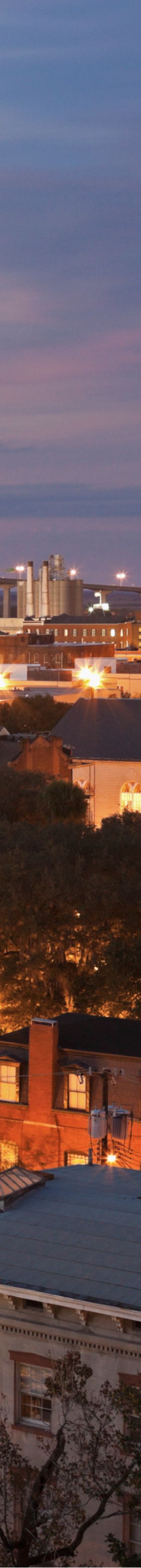 Savannah Skyline 30514