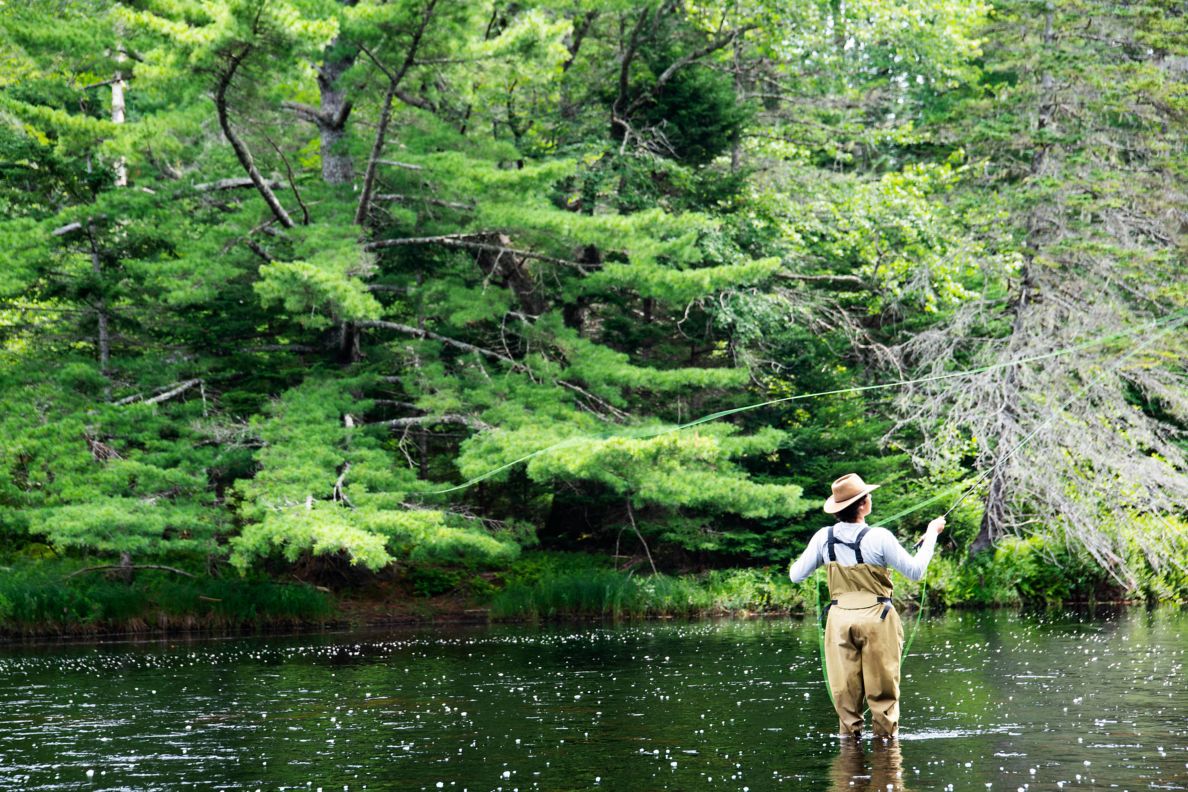 Fly-fishing experience