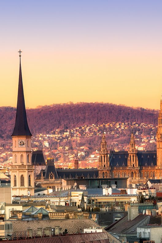 Stunning sunset view over the city of Vienna. 