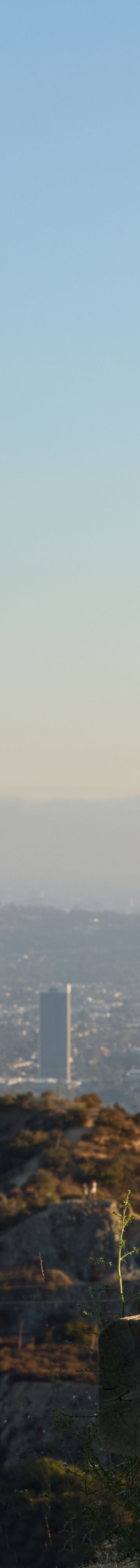 hollywood-neighborhood