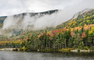 Aerial view of the city