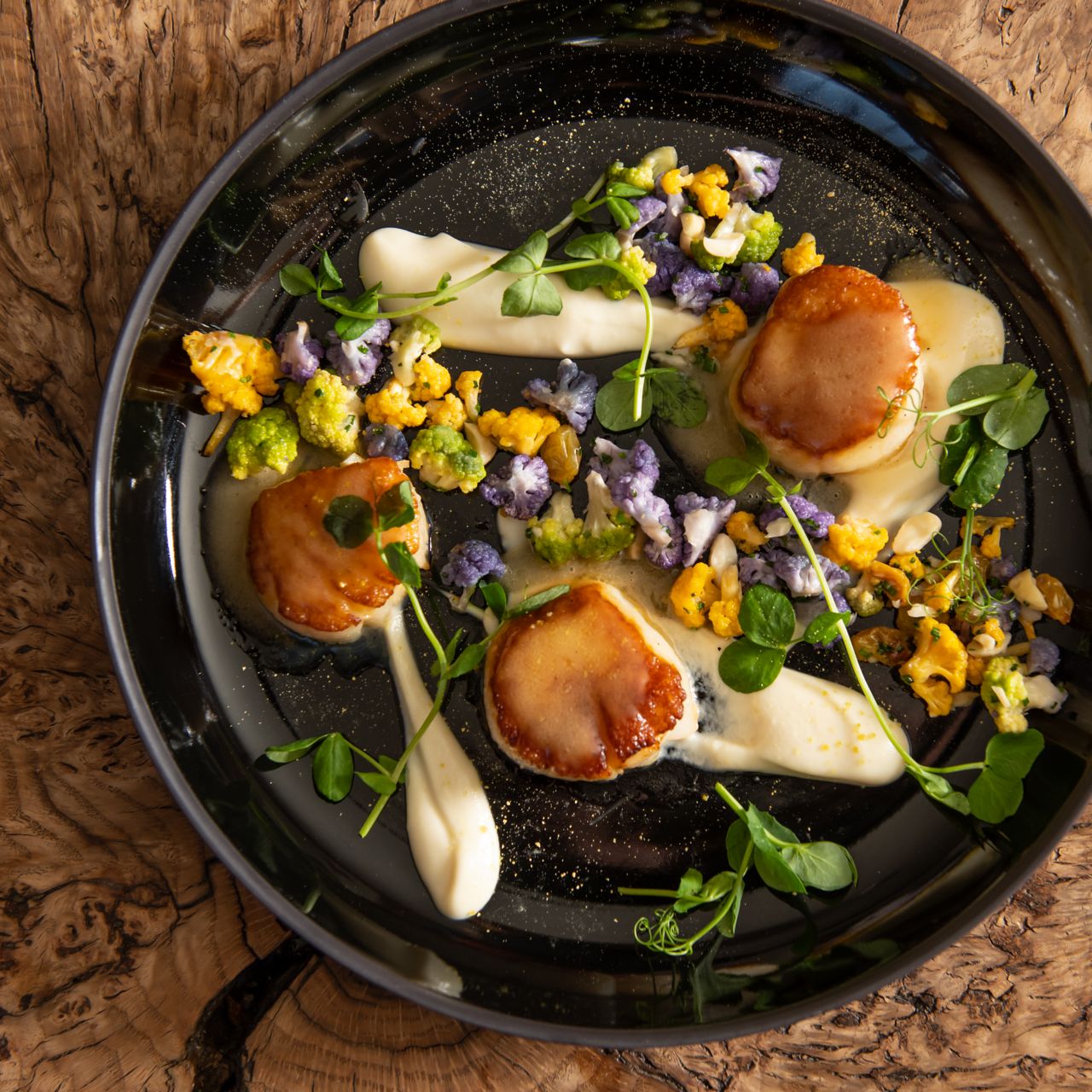Scallops from WYLD