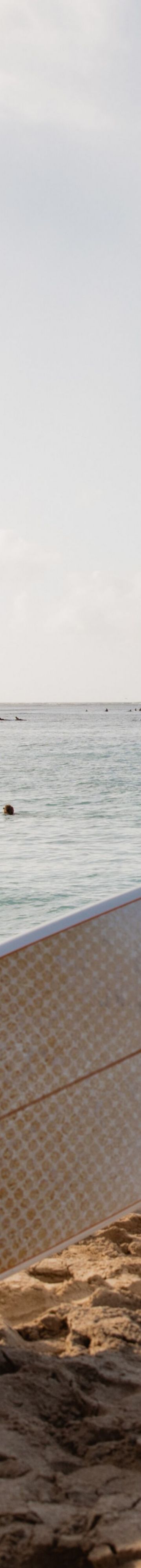 Waikiki Surfing 33898