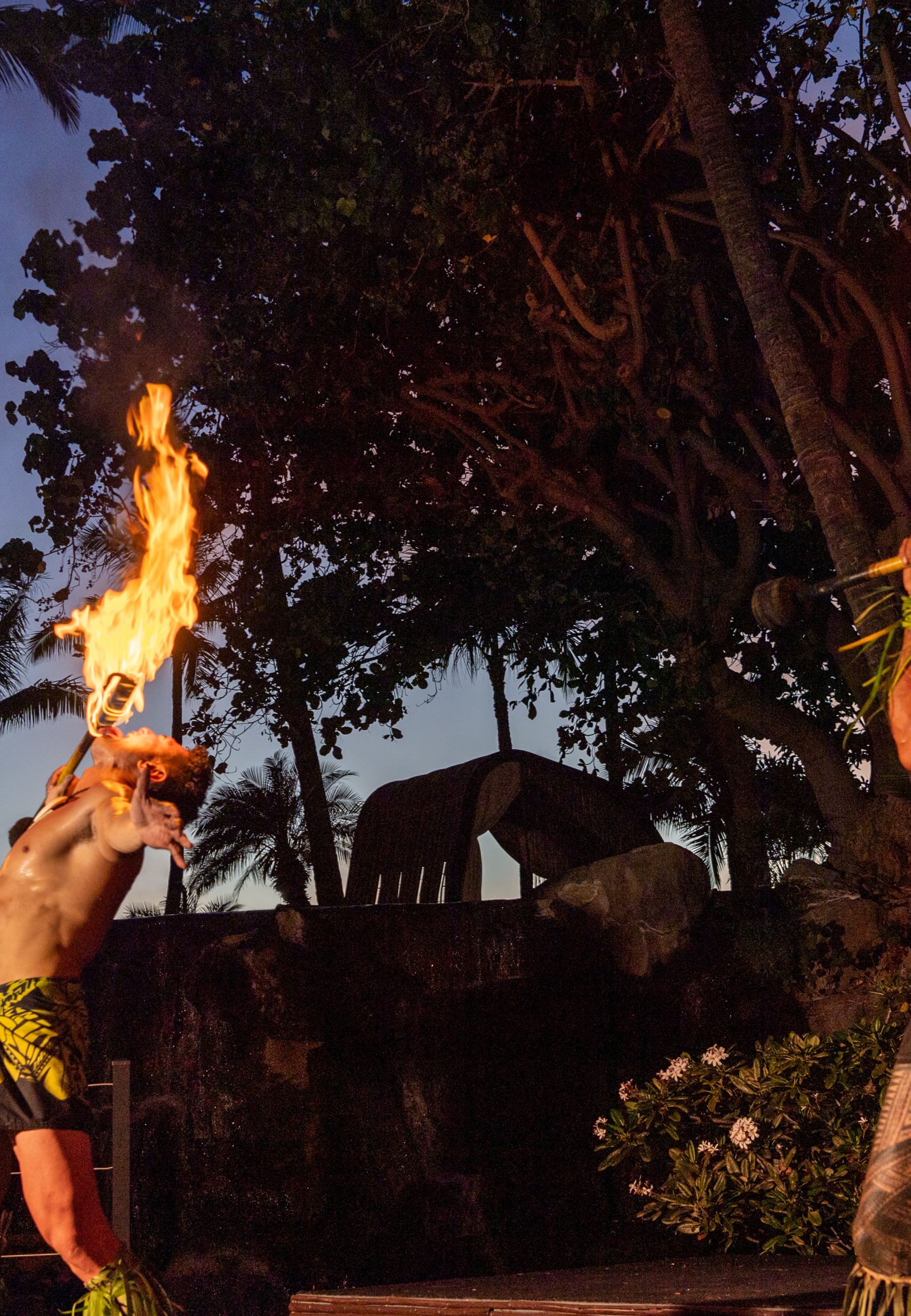Luau fire dancers