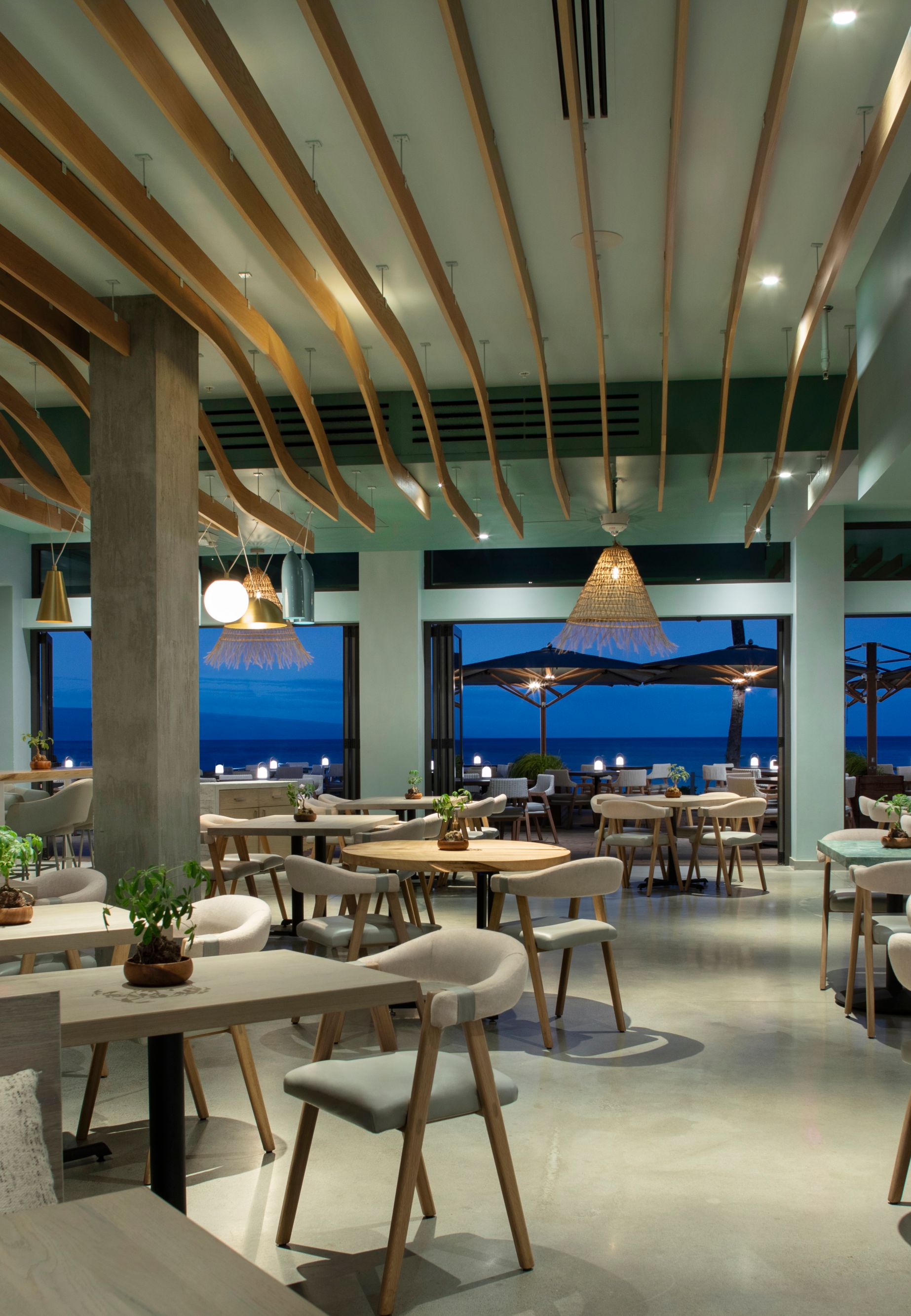 Waicoco evening interior