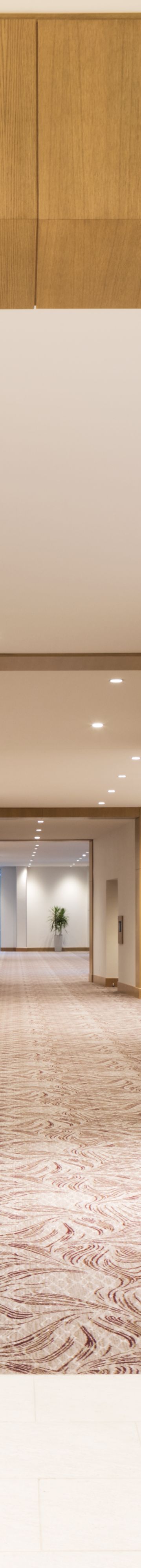 janwi-pre-function-9734