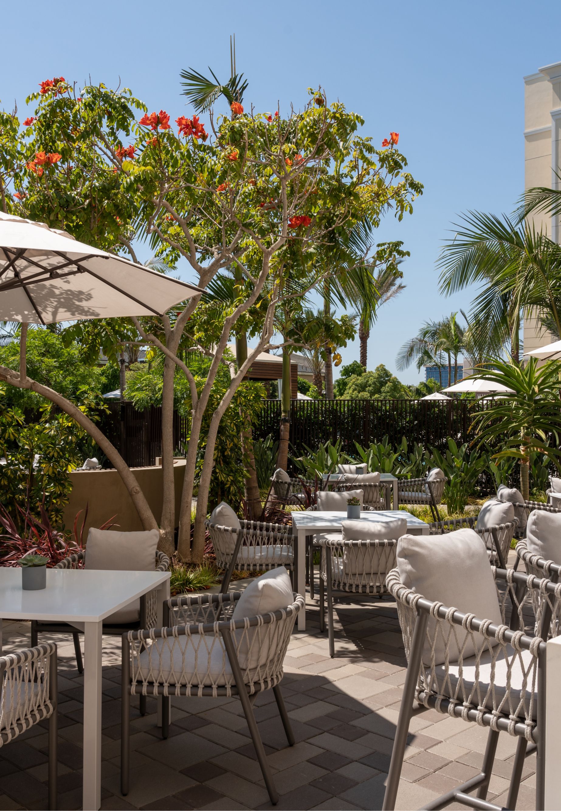 Bella's day time-00346812