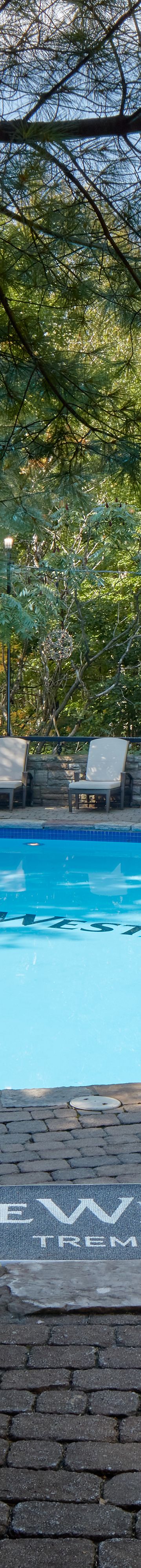 swimming-pool-33718