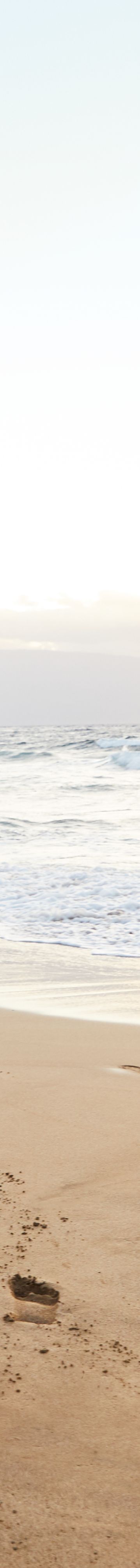 Run Concierge Leading group running on the shore