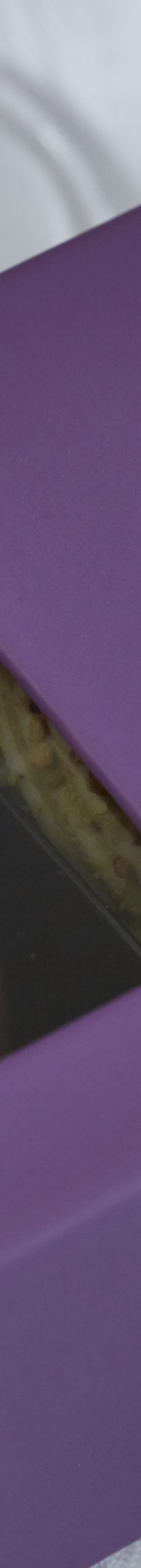 AmenityDessert_380 29330