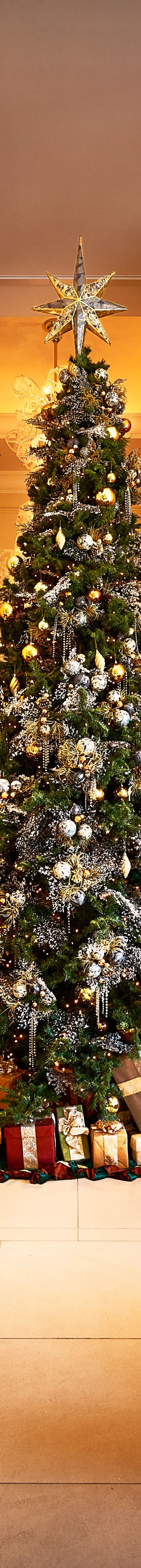 christmas tree1_202112