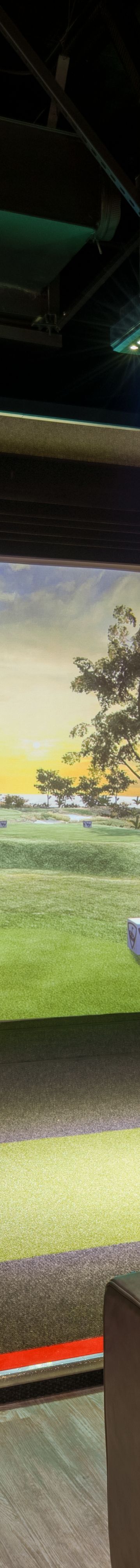 Top Golf Swing Suite