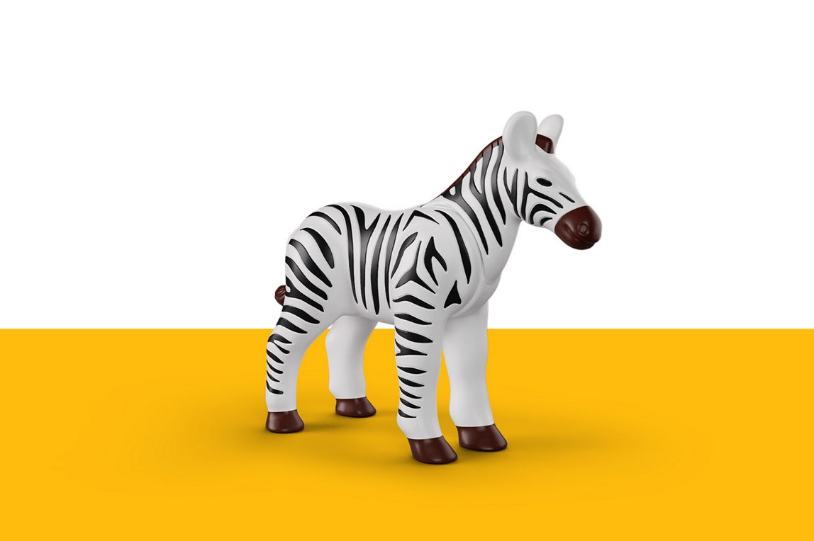 Zebra