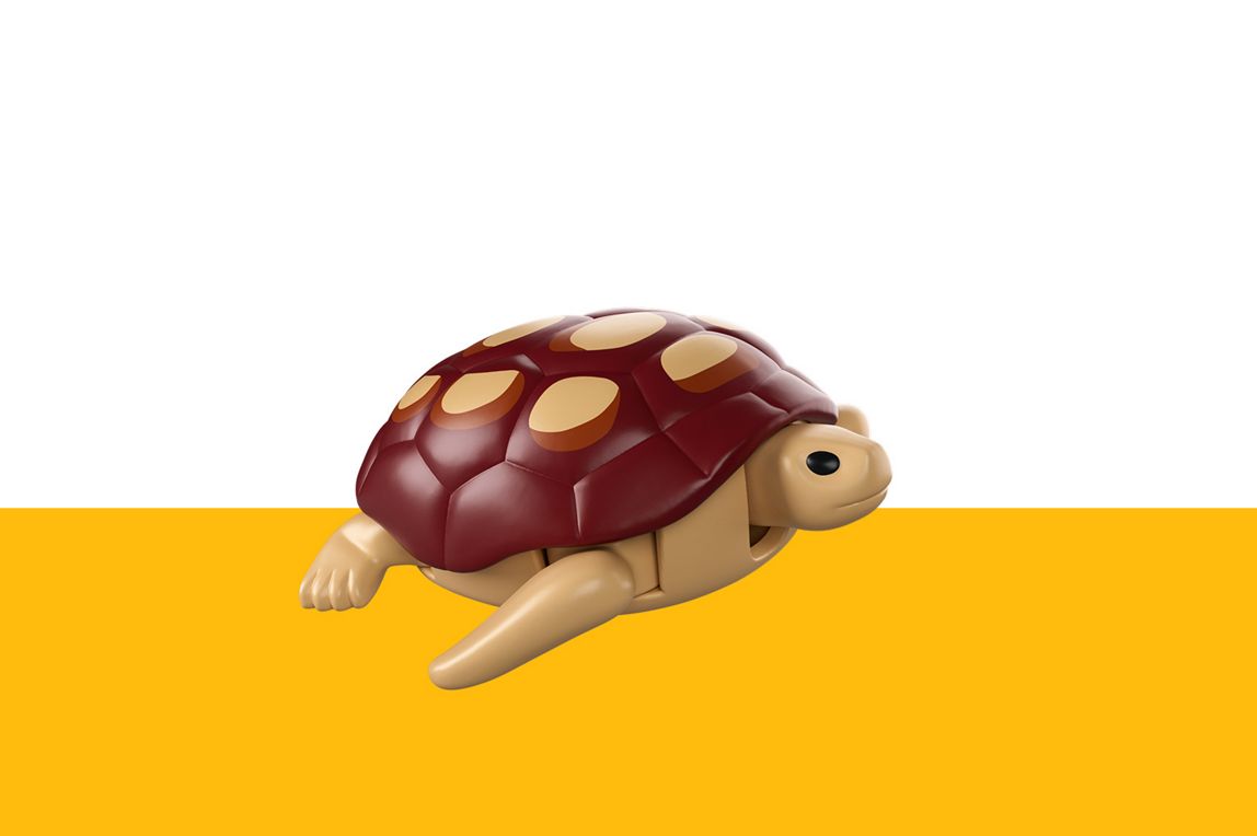 Schildkröte