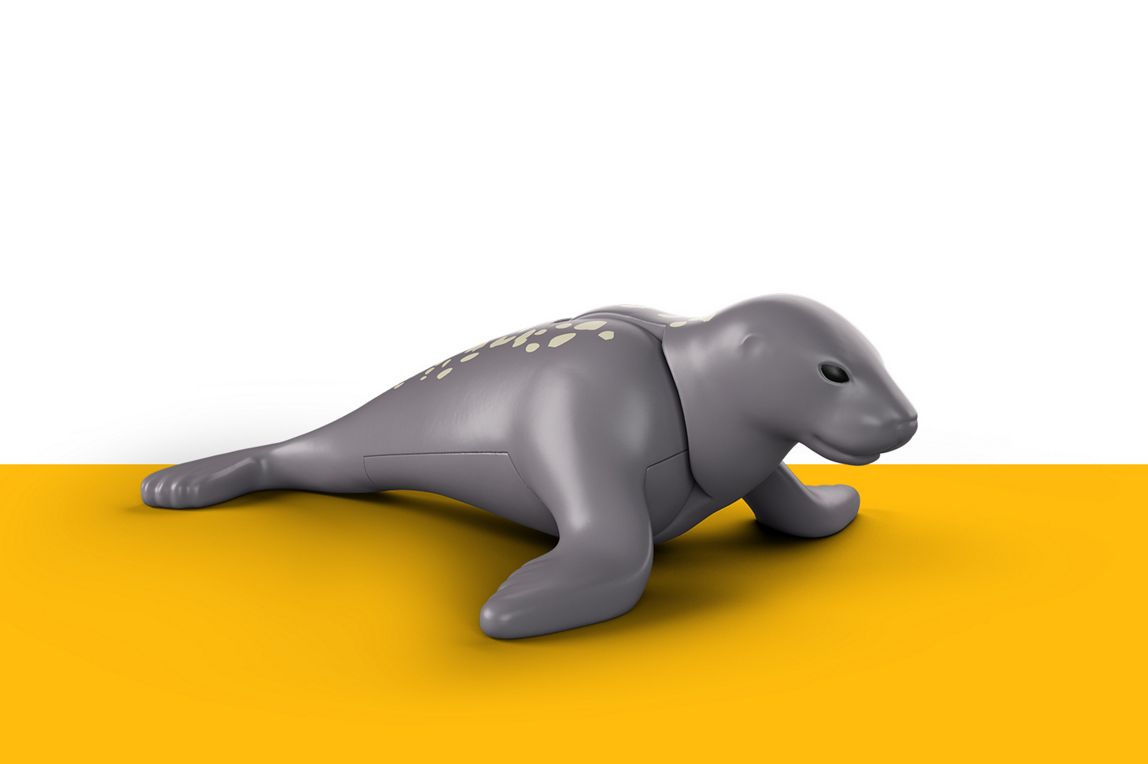 Seelöwe