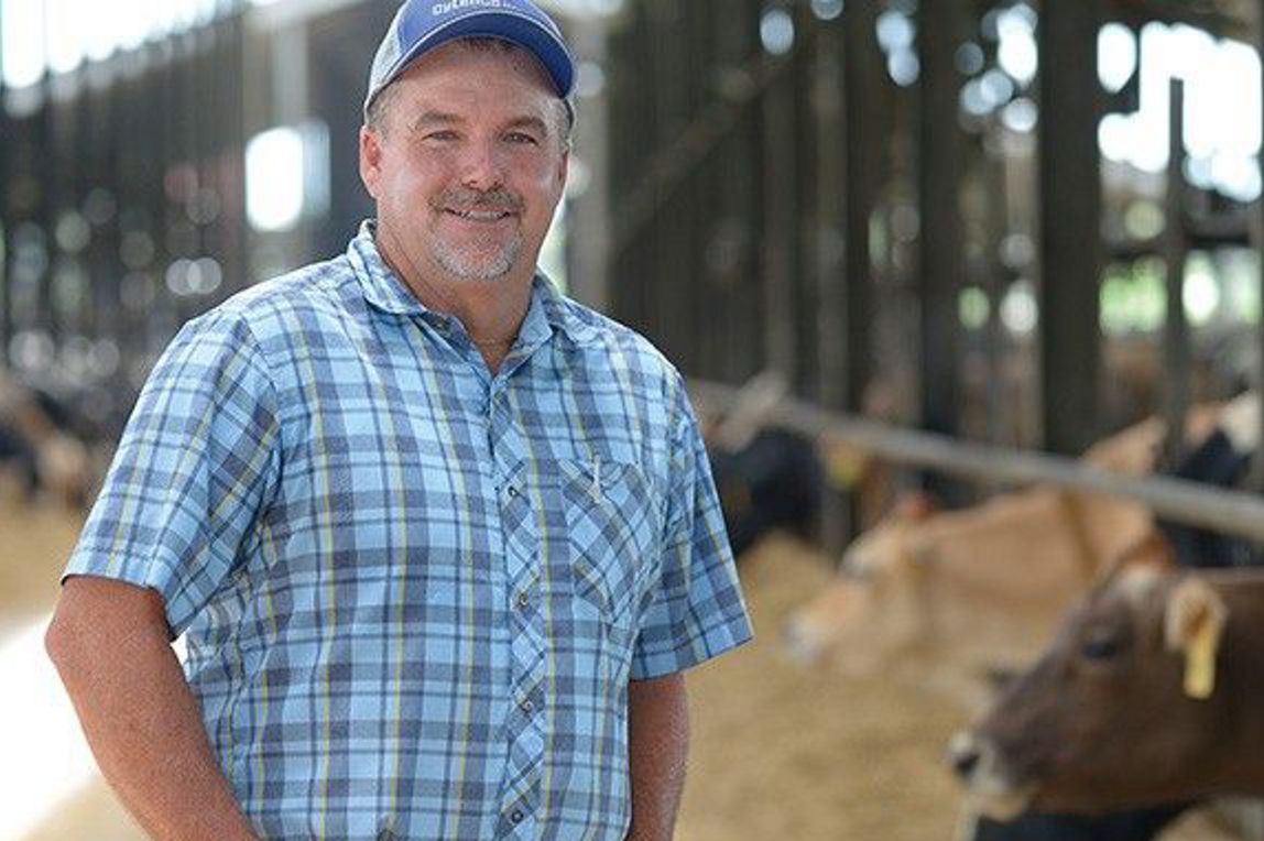 learn more about a dairy supplier, milking r dairy