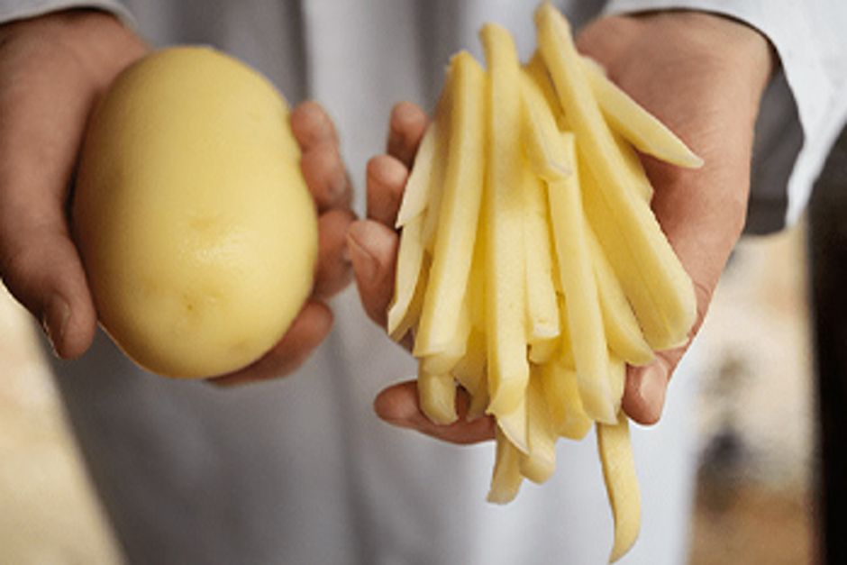 Zwei Hände, eine hält eine ganze Kartoffel, die anderen einige Pommes Frites